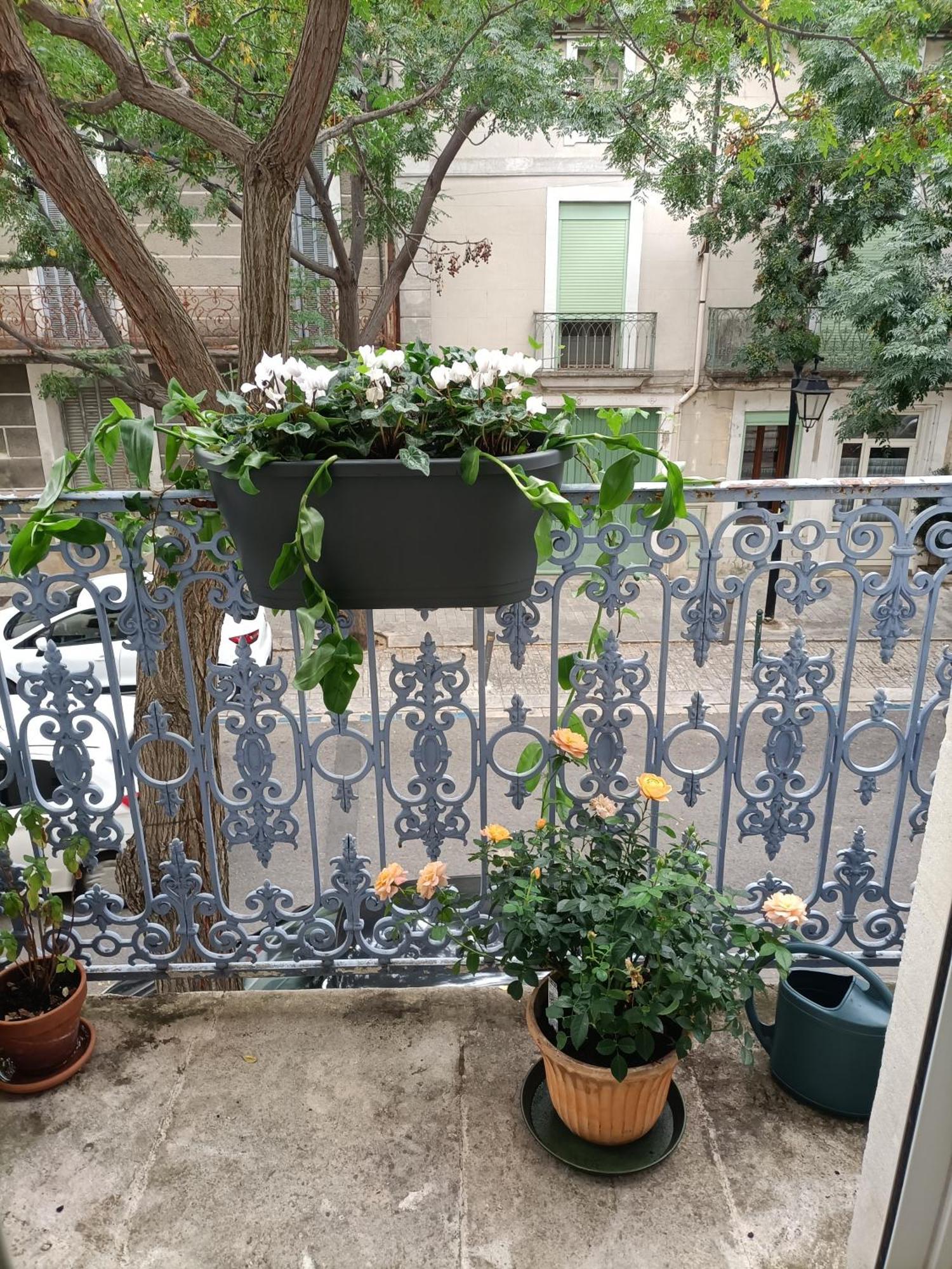 فيلا A Deux Pas D'Avignon Aramon المظهر الخارجي الصورة